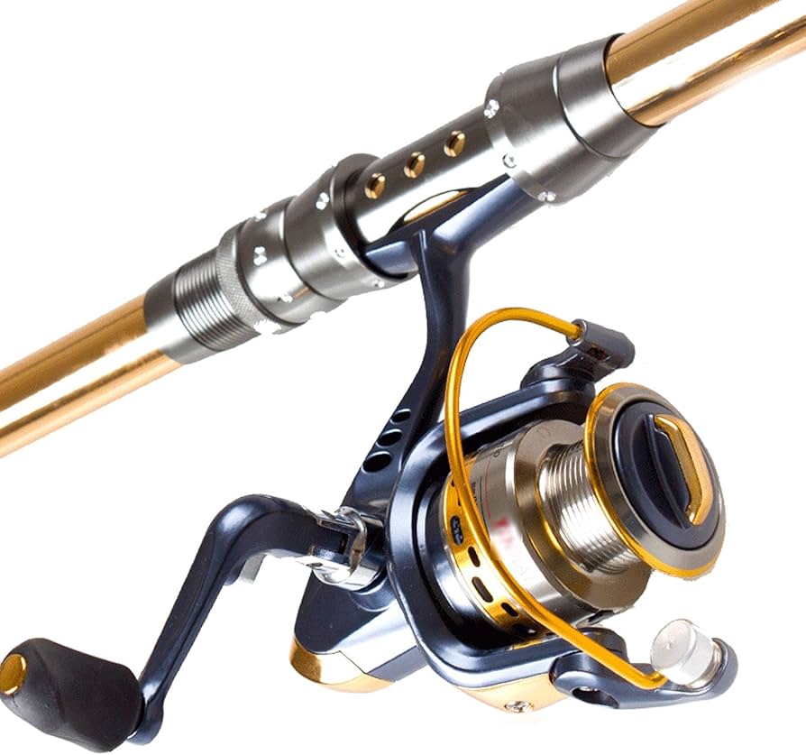 Amazon.com: zxb-shop Fishing Rod Fishing Rod and Reel Combos